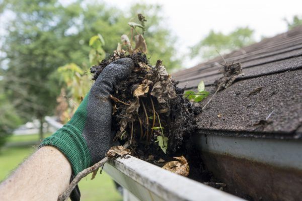 Gutter Cleaning near me San Diego CA 03