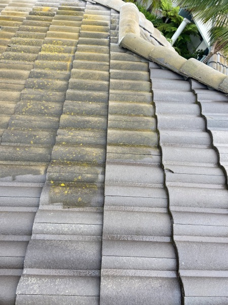 Roof Cleaning near me San Diego CA 04